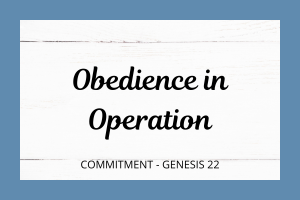 Obedience in Operation